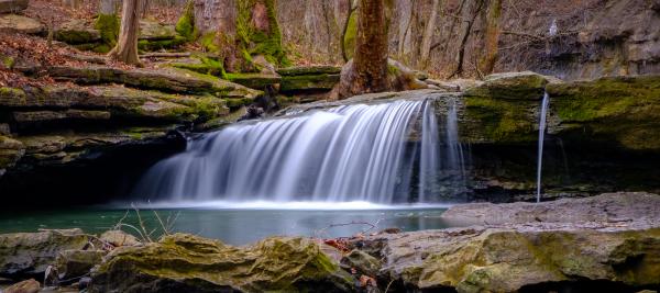 Nine Penny Branch Nature Preserve