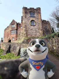 Staffy at Tamworth Castle
