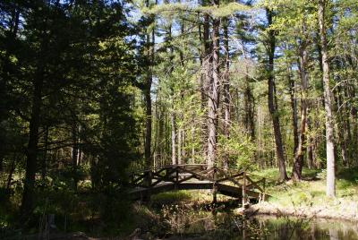 Pine Hollow Arboretum’