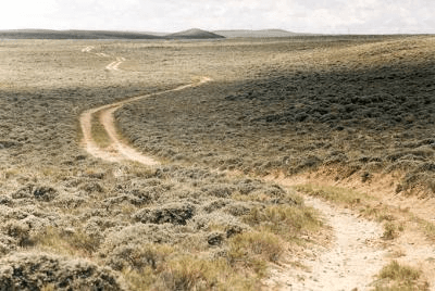 A sweeping prairie with long, winding wagon ruts from the Oregon Trail.