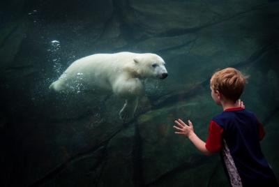 Columbus Zoo and Aquarium