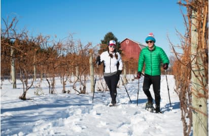 Snowshoe the Vines