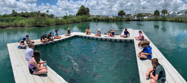Kids sit around a viewing platform at Marineland Dolphin Adventure's summer camp.