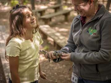 Girl touching reptile