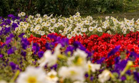 Quilt Garden in Elkhart County, Indiana