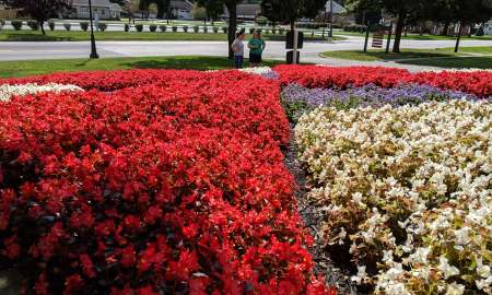 Quilt Gardens