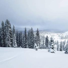 Rabbit Ears Pass