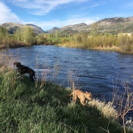 A LOCAL’S GUIDE – 24 HOURS IN STEAMBOAT SPRINGS – JUNE