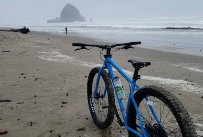 Fat bike thrill outlet