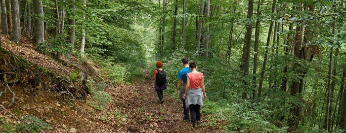 Rib Mountain Hike Trail Friends