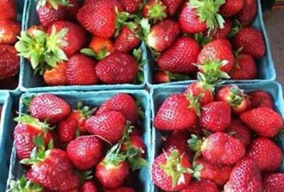 Strawberries from Monin's Fruit Farm