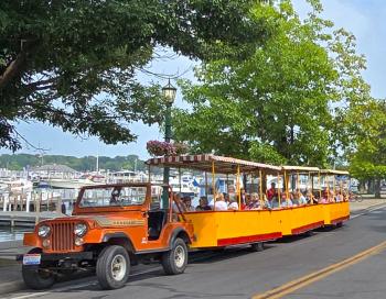 PIB Tour Train