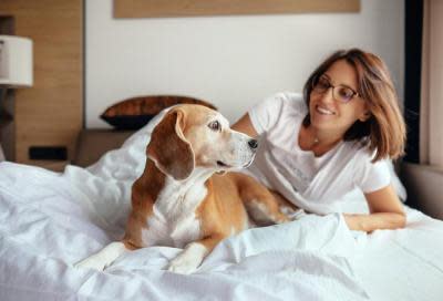 shutterstock_735597913-400x272