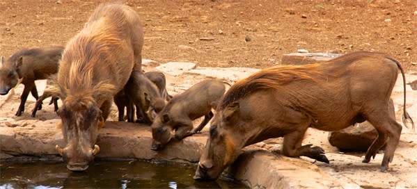 Uganda: Wander and Wonder… and Then You Fall in Love!