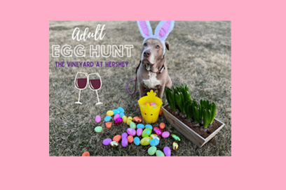Adult Egg Hunts at The Vineyard at Hershey