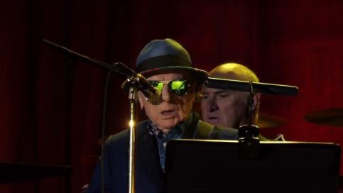 Tupelo Honey - Van Morrison Tribute at Whitaker Center