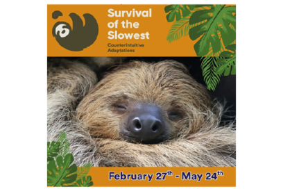 Survival of the Slowest