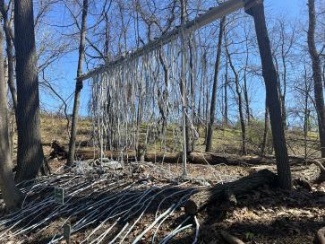 Art In The Wild 2025 Outdoor Exhibition