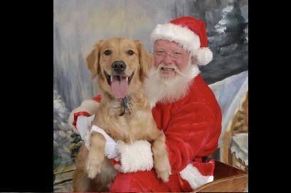 Free Pet Photoshoot with Santa