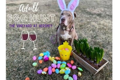 Adult Egg Hunts