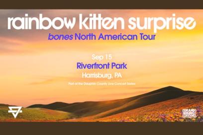 Rainbow Kitten Suprise