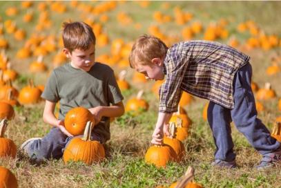 Patchwork Pumpkin Farm Fall Days