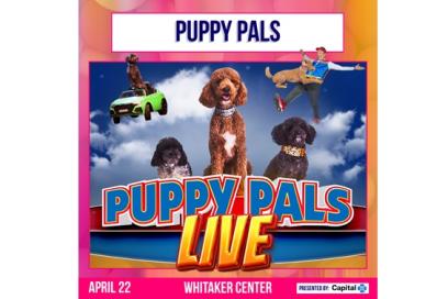 Puppy Pals Live