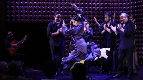 Noche Flamenca
