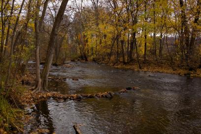 Fall Foliage Floats