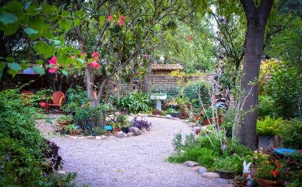 Japanese Art to Color In — Yume Japanese Gardens of Tucson