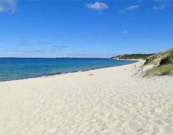 Lambert’s Cove Beach