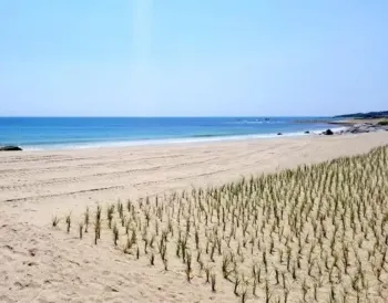 Squibnocket Beach