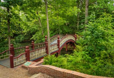 Influencer - Robin LaMonte - William and Mary (5)