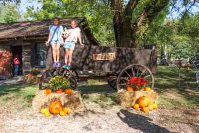 Pioneer Days at Fowler Park