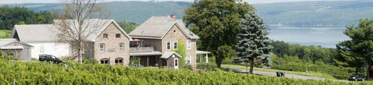 Dr. Frank's Farmhouse
