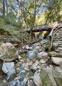 Uvas Canyon bridge over Granuja