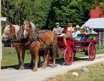 A Horse Tour at Port Oneida district