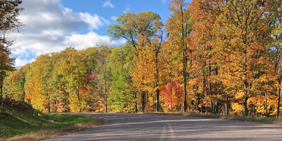 hidden gem birchwood fall color