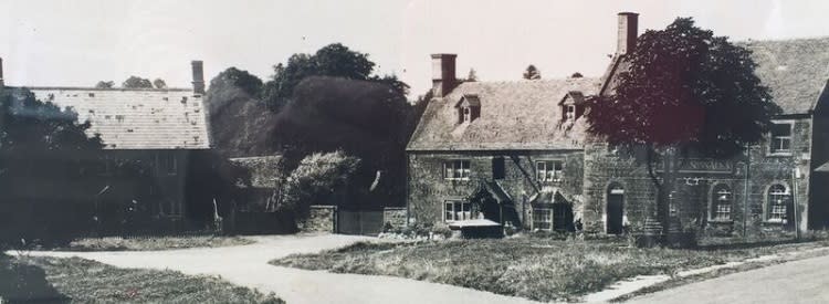 The Howard Arms - the young oak tree is now mature!