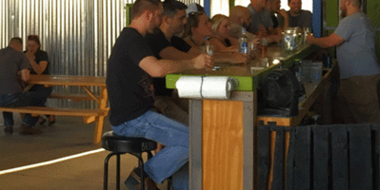 The Bearded Eel Brewery