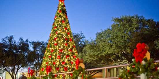 November 2020 Events Things To Do In Fort Worth