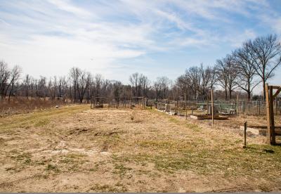 Equestrian Trail - Bellevue