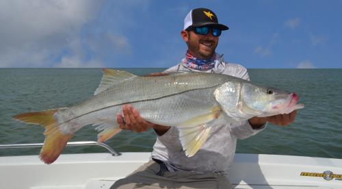 Giant Snook