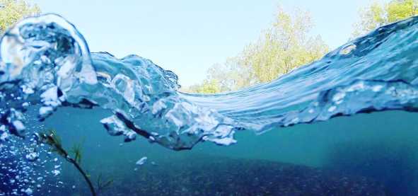 An underwater view of the crystal-clear San Marcos River