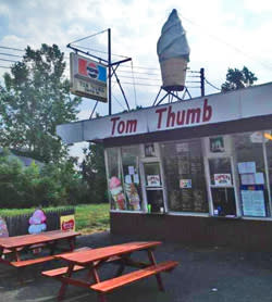 Tom Thumb Cayuga County Ice Cream