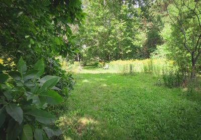 W.L. Arboretum