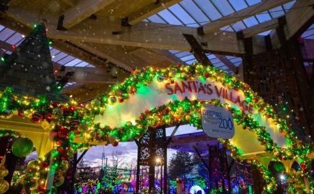 Christmas at the Zoo (Photo courtesy of the Indianapolis Zoo Facebook page)