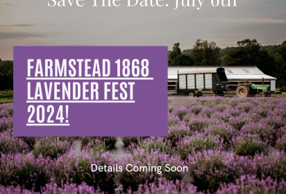Lavender Fest 2024