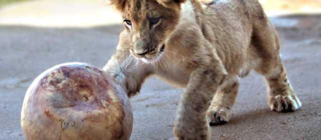 photo Things To Do On The 4Th Of July In Utah 4th of july in denver visit denver