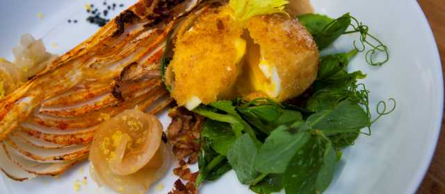 Restaurants With Locally Grown Food Visit Denver